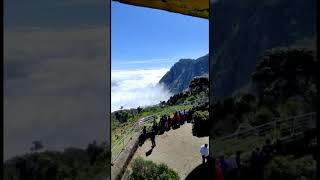 Ooty the nature #shortsvideo #travel #shortsfeed #youtubeshorts #ooty #ootytrip #ootytourism y