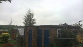 My Mum feeding a Red Kite in her back garden, Finedon, Northants.