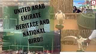 UAE HERITAGE National bird and other things you have not see in UAE.