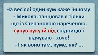 💠 Степанова Наречена! Українські Анекдоти! Анекдоти Українською! Епізод #237