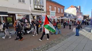 Demonstration for Palæstina i Vordingborg