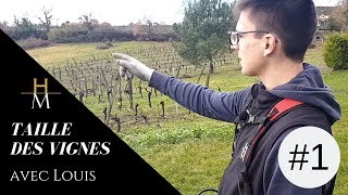 Taille des vignes avec le domaine du Haut Montlong #1