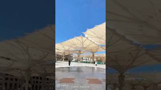 Nobijir madinate ami jete chai 🕋❣️ #new #islamic #viral #song