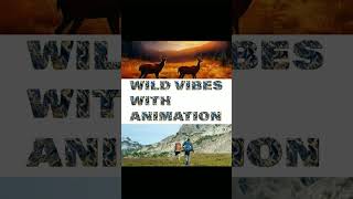 Wild vibes with animation | arjun singh #wildvibeswithanimation #nature