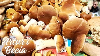 Więcej ludzi niż grzybów 🍄🍄🍄Flądra to nie to samo co gładzica 🐟🐟🐟