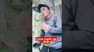 cuma ingatin aja🤣🤣 #shortsvideo #komedi #shortlucu #lucu