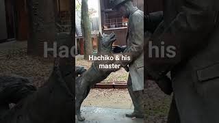 Patung Hachiko #Japan