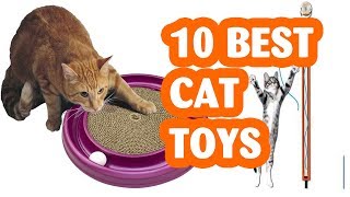 10 Best Cat Toys  /The Best Cat Toy 2019