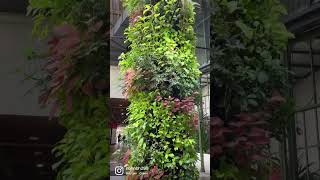 Vertical gardening