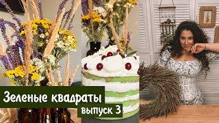 Зелёные квадраты с Анастасией Рыкалиной. Выпуск 3