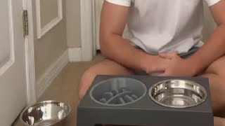 Honest Review of the PetAce Dog Bowl Set!