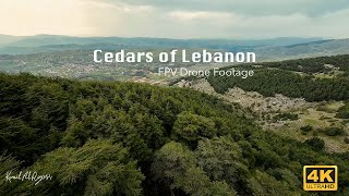 Cedars of Lebanon | FPV Drone footage