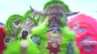 MARDI GRAS INDIANS | DOWNTOWN NEW ORLEANS | 2024