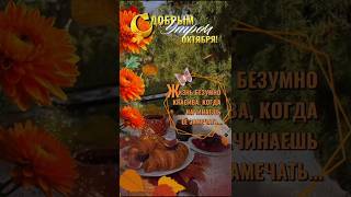 🍁💞🌹С ДОБРЫМ УТРОМ ОКТЯБРЯ#ЖИЗНЬ КРАСИВА, КОГДА НАЧИНАЕШЬ ЕЁ ЗАМЕЧАТЬ #ПОЖЕЛАНИЕ#RESPECT  #SHORTS 💞🌞🌹