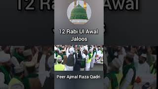 12 Rabi Ul Awal Peer Ajmal Raza Qadri ka Andaz Mohabat ❤️🌺 #islam #shorts #status  #eidmiladunnabi