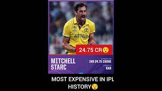 MOST EXPENSIVE IN IPL HISTORY😯 #mitchellstarc #kkr #ipl2024auction #ipl #cricket #shorts #viral