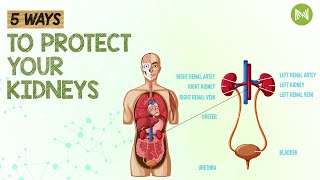 5 Ways To Protect Your Kidneys | Apnay Gurdon Ki Hifazat Ke 5 Tarikay | MetaHealth