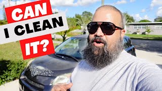 Detailing My Car (with a Surprising Trick for Vacuuming)