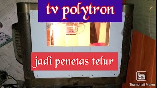 tv polytron jadi penetas telor