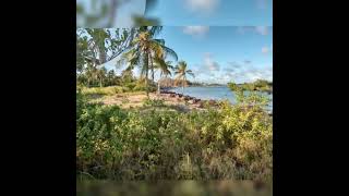 Beach plot for sale Tsh 480 millions, at Kigamboni Buyuni, Dar es salaam, plot size 2 acres surveyed