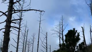 Timelapse of clouds during hike up Acatenango