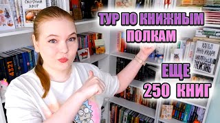 ТУР ПО КНИЖНЫМ ПОЛКАМ ЧАСТЬ 2 // 250 ПРОЧИТАННЫХ КНИГ😱