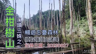 金柑樹山下忘憂森林,台灣小百岳、溪頭三姝之一、順取嶺頭山諸峰，FP204,1