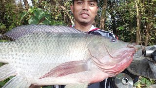 Ketapel Ikan Di Sunga Liar... ||Terasa Di Kolam ga Pernah Habis Ikannya ||Slingshot Fishing