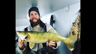 Catching BIG WALLEYES Ice Fishing - Early Season