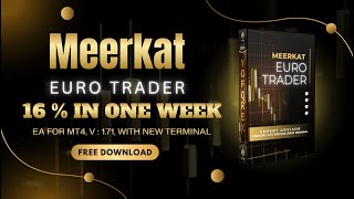 Meerkat Euro Trader Ea V1.71 MT4 - 16% PER WEEK - 25$ ONLY