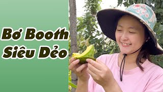 Bơ Booth Siêu Dẻo Nhà Trang Ở Đắk Lắk #shorts