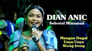 Sebotol Minuman - Dian Anic Album