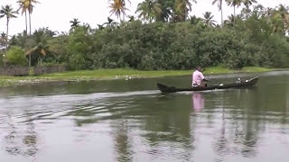 KERALA Blackwater