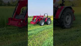 Hay for the winter!