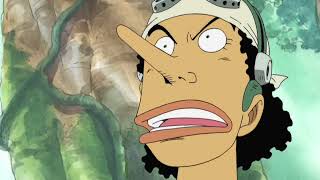 Usopp the chief operating officer and Assistant chief operating officer Chopper