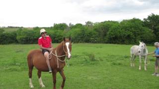 Chateau Garreau horseback riding.....