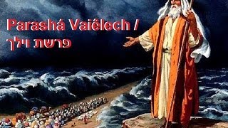 52ª Parashá: Vaiêlech(E Ele vai) por: Rabino Marcelo M. Guimarães (22/09/2012 | 5772)