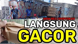 NAMANYA JUGA REJEKI, BELI BURUNG OMBYOKAN LANGSUNG GACOR BUNYI NEMBAK NEMBAK DI RUMAH.