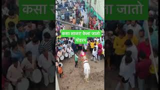 Solapur Muharram 2022 | Sawari