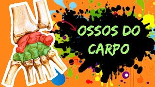 Aula 35:  RAPIDEX - Ossos do carpo