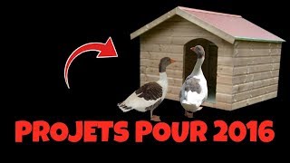 Mes projets 2016