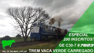 trem de celulose "vaca verde" carregado com dupla de GE C30-7 passando por Val de Palmas (JVP)-SP