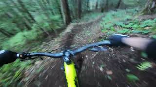 Riding Some of Hartland's Best Trails