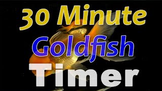 30 Minute Timer | ⏰ Bell Alert | No Music | Water Sounds | Study Aid, Focus and Relaxation