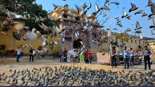 JAIPUR TRIP | KABUTAR KHANA @ HAWA MAHAL | PINK CITY