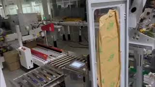 Automatic Case Packing: Robotic Pick and Place Cartons into Box with Chipboard partition inserting