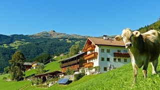 Thalhofer Hof in Latzfons/Klausen: Urlaub auf dem Bauernhof in Südtirol