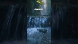 JIBHI, Tirthan Valley  | Water Fall |  Himachal Pradesh #shorts