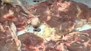 CFS-LT3 Whole Leg Deboning 2-08.wmv