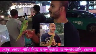 পোষা তোতা পাখি নিয়ে রাত-বিরাতে আল-বাওয়াদি, জেদ্দা | Al-Bawadi, Jeddah, at Night with a pet Parrot.